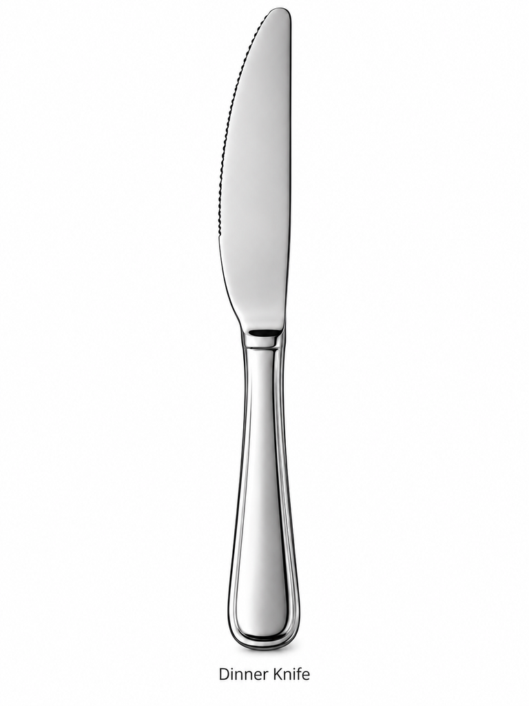 Stainless Steel Dinner Knife